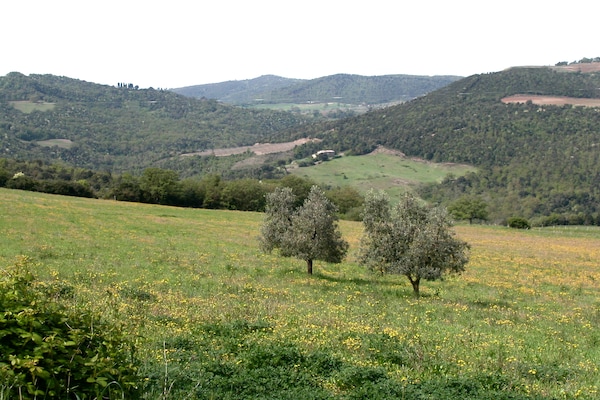 Foto van Schilderachtige Toscaanse boerderij - Vakantiehuis in Castiglione D'orcia - ViewSummer