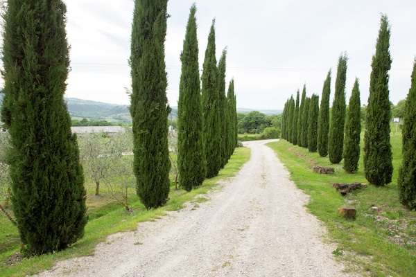 Foto van Schilderachtige Toscaanse boerderij - Vakantiehuis in Castiglione D'orcia - AreaSummer1KM