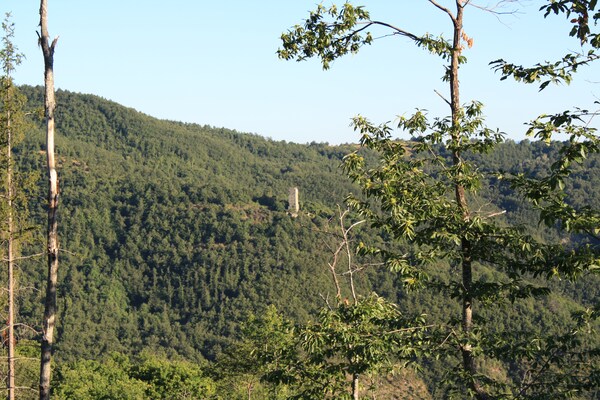 Foto van Boerderij in Umbrië nabij Palazzo Bourbon - Vakantiehuis in Monte s. Maria Tiberina - ViewSummer