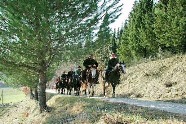 Foto van Boerderij in Umbrië nabij Palazzo Bourbon - Vakantiehuis in Monte s. Maria Tiberina - ParkFacilities