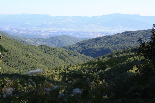 Foto van Boerderij in Umbrië nabij Palazzo Bourbon - Vakantiehuis in Monte s. Maria Tiberina - AreaSummer1KM