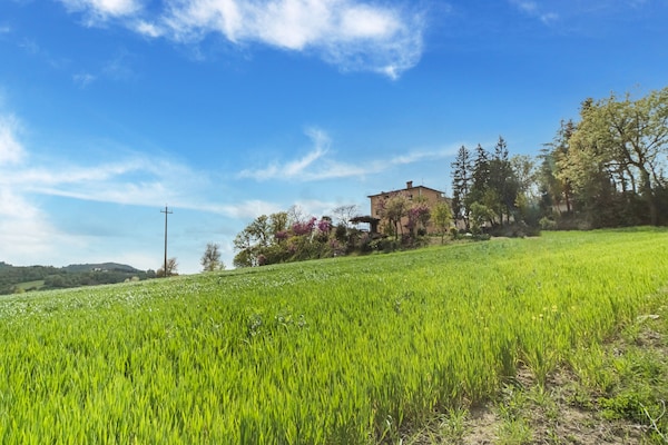 Foto van Huisdiervriendelijke boerderij - Vakantiehuis in Città di Castello - AreaSummer5KM