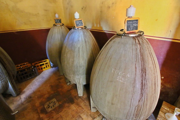 Foto van Boerderij in Todi met zwembad en theater - Vakantiehuis in Todi - Facilities