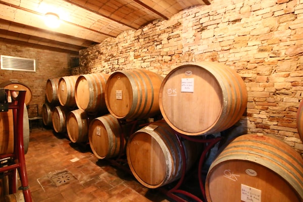 Foto van Boerderij in Todi met zwembad en theater - Vakantiehuis in Todi - Facilities