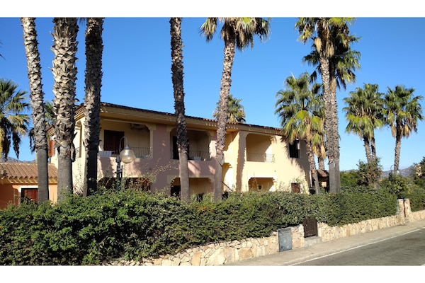 Foto van Appartementen in San Teodoro vlakbij het centrum - Vakantiehuis in San Teodoro - ExteriorSummer