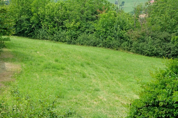 Foto van Appartement in Casale met wijngaard uitzicht - Vakantiehuis in Moncucco Torinese - AreaSummer1KM