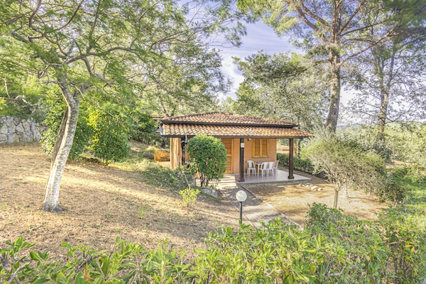 Foto van Appartementen met veranda, Andora - Vakantiehuis in ANDORA (SAVONA) - ExteriorSummer