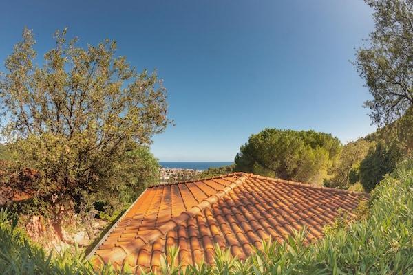 Foto van Appartementen met veranda, Andora - Vakantiehuis in ANDORA (SAVONA) - ViewSummer