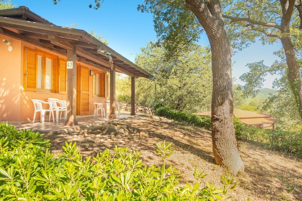 Foto van Appartementen met veranda, Andora - Vakantiehuis in ANDORA (SAVONA) - ExteriorSummer