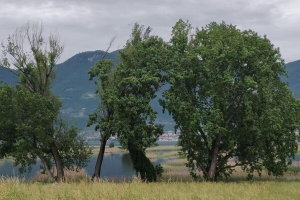 Foto van Landhuis bij het Iseomeer - Vakantiehuis in Provaglio d'Iseo - AreaSummer20KM