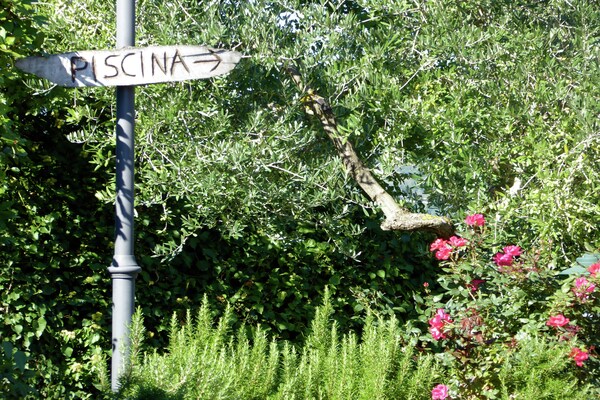 Foto van Vakantiehuis in Montecarelli met Zwembad - Vakantiehuis in Montecarelli - Ambiance