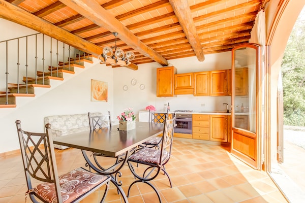 Foto van Huisdiervriendelijke ruimte met zwembad - Vakantiehuis in Gambassi Terme (FI) - DiningRoom