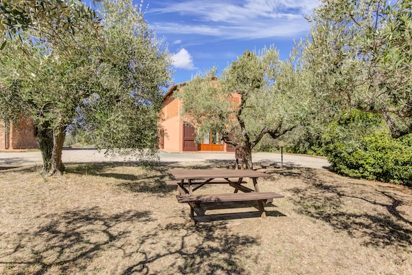 Foto van Huisdiervriendelijke ruimte met zwembad - Vakantiehuis in Gambassi Terme (FI) - GardenSummer
