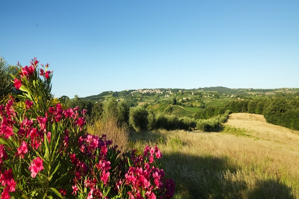 Foto van Huisdiervriendelijke ruimte met zwembad - Vakantiehuis in Gambassi Terme (FI) - ViewSummer