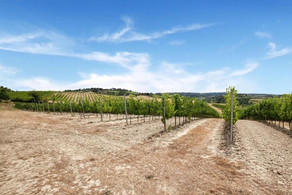Foto van Boerderij in Chianti met Zwembad & Tuin - Vakantiehuis in Gambassi Terme (FI) - AreaSummer20KM