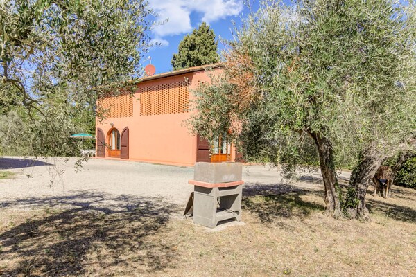 Foto van Boerderij in Chianti met Zwembad & Tuin - Vakantiehuis in Gambassi Terme (FI) - ExteriorSummer