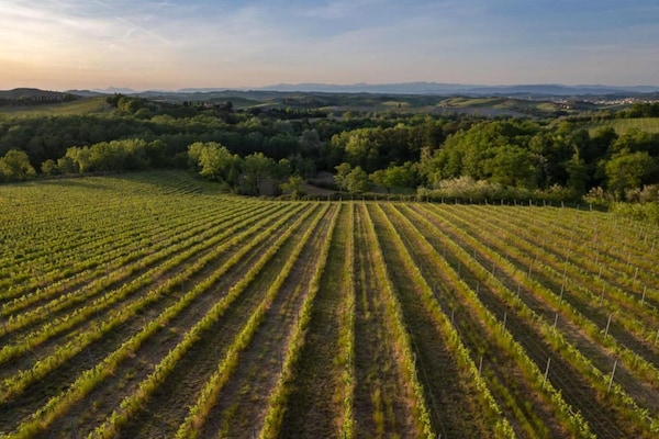 Foto van Boerderij in Toscane met Zwembad & Wijnproeverij - Vakantiehuis in Varna - Gambassi terme-Fi - AreaSummer20KM