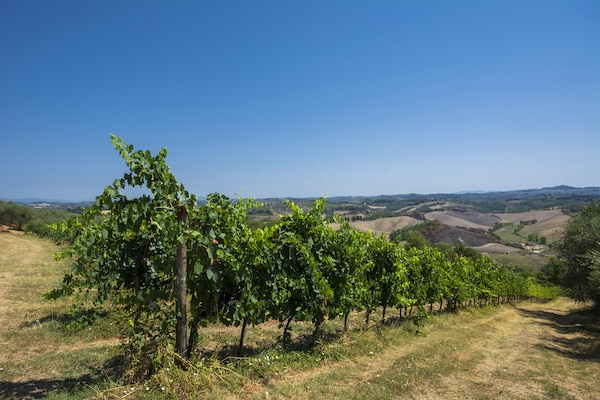 Foto van Rustige retraite te midden van Toscane - Vakantiehuis in Castelfiorentino (FI) - AreaSummer1KM
