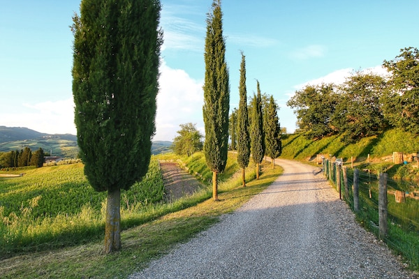 Foto van Chianti-heuvelboerderij - Vakantiehuis in Radda in Chianti - AreaSummer1KM