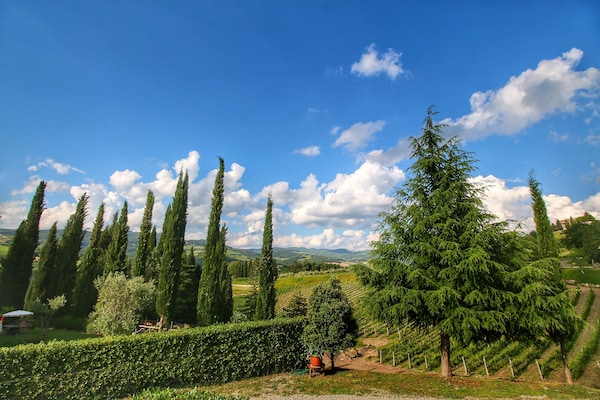 Foto van Chianti-heuvelboerderij - Vakantiehuis in Radda in Chianti - AreaSummer5KM