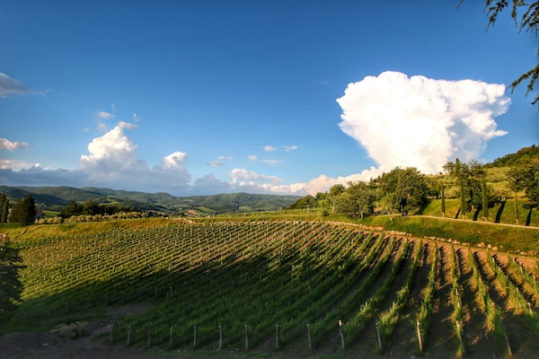 Foto van Chianti-heuvelboerderij - Vakantiehuis in Radda in Chianti - AreaSummer20KM
