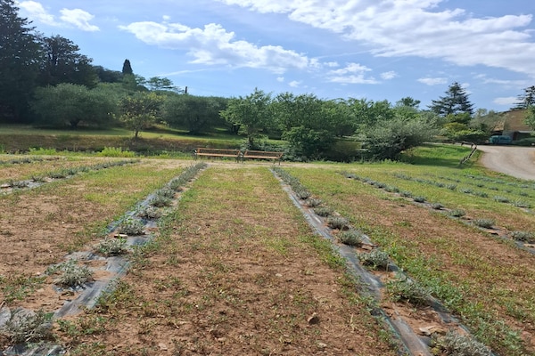 Foto van Authentieke Toscaanse ontsnapping met tuin, vlakbij Siena en Chianti. - GardenSummer