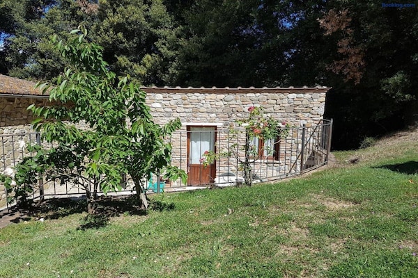 Foto van Authentieke Toscaanse ontsnapping met tuin, vlakbij Siena en Chianti. - ExteriorSummer