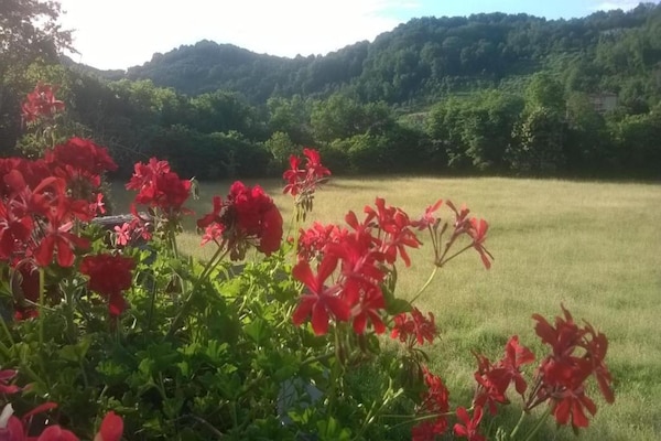 Foto van Vakantiehuis in Toscane met Natuurlijke Vijver - Vakantiehuis in Mulazzo - AreaSummer20KM