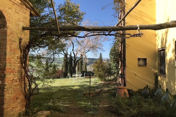 Foto van Biologische boerderij met 1 slaapkamer - Vakantiehuis in Palaia - Untagged