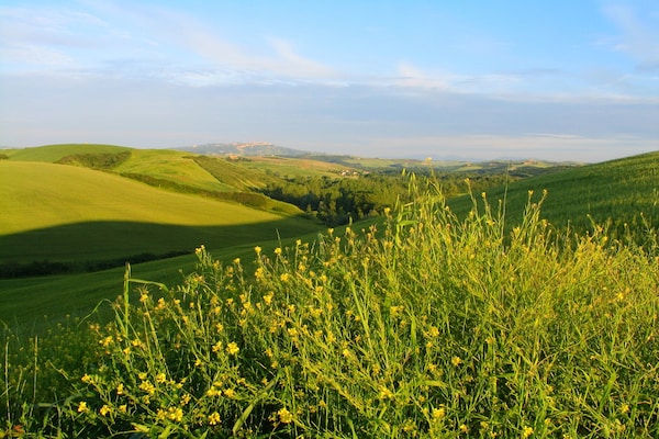 Foto van Agriturismo in Toscane met Zwembad en Wijn - Vakantiehuis in Peccioli - ViewSummer