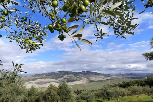 Foto van Toscaanse charme nabij Volterra - Vakantiehuis in Volterra - ViewSummer