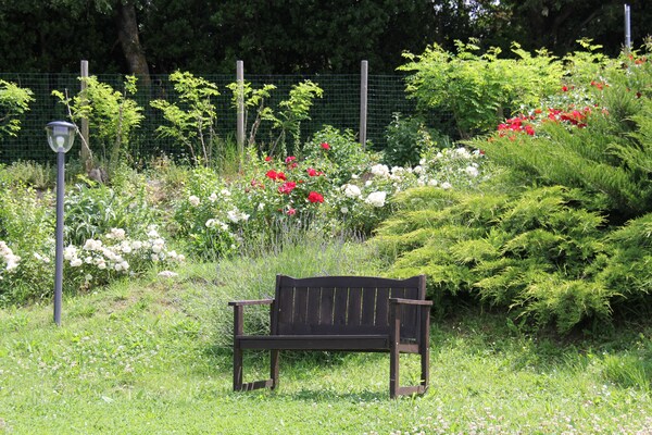 Foto van Appartement in Piticchio met Uitzicht & Zwembad - Vakantiehuis in Arcevia - GardenSummer