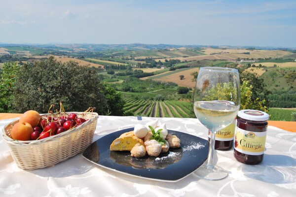 Foto van Appartement in Marche met zwembad & wijn - Vakantiehuis in Montecarotto - Facilities