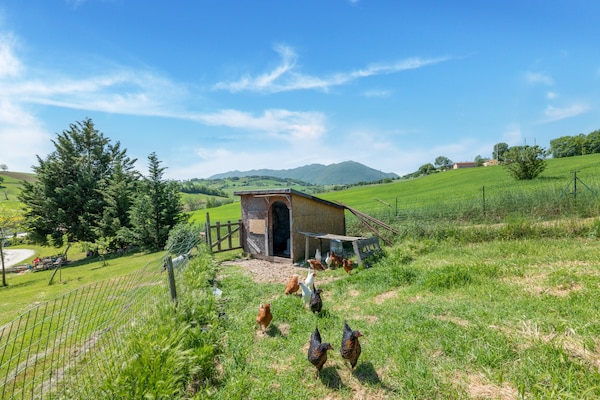Foto van Landelijk uitje in Matelica - Vakantiehuis in Matelica - GardenSummer