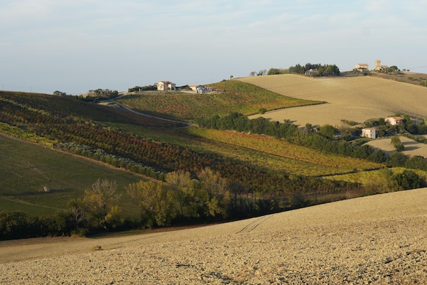 Foto van Boerderij in Marche met zwembad en kustzicht - Vakantiehuis in Fermo - AreaSummer1KM