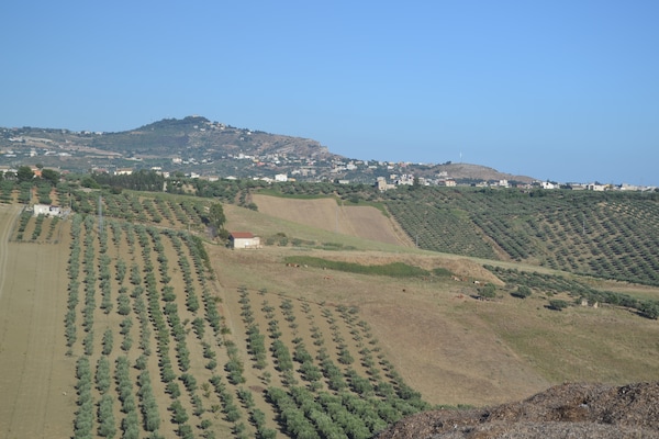 Foto van Vakantiehuis in Sciacca met zwembad en tuin - Vakantiehuis in Sciacca - AreaSummer5KM