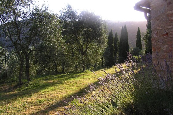 Foto van Charmante Villa in Toscane met Zwembad - Vakantiehuis in Sovicille - ExteriorSummer