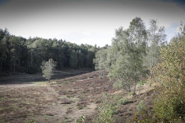 Foto van Huisje in Veluwe bij Bospark - Vakantiehuis in Garderen - AreaSummer20KM