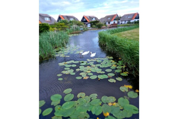 Foto van Buitenplaats 120 - Vakantiehuis in Callantsoog - Untagged