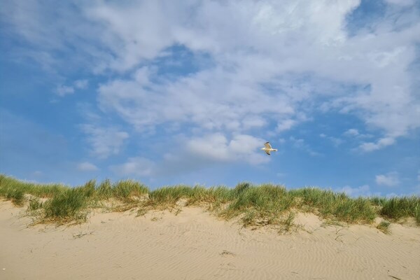 Foto van Buitenplaats 120 - Vakantiehuis in Callantsoog - Untagged