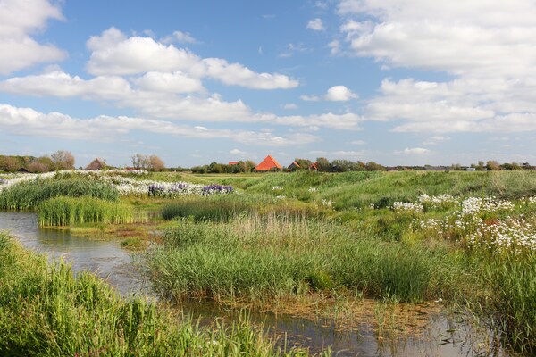 Foto van Moderne lodge vlakbij het strand - Vakantiehuis in Callantsoog - AreaSummer5KM