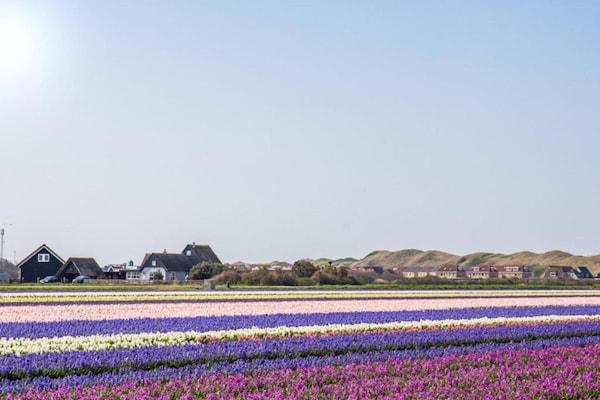 Foto van Moderne lodge vlakbij het strand - Vakantiehuis in Callantsoog - AreaSummer20KM