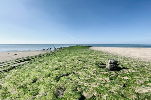 Foto van Authentiek gezellig strandhuisje in Callanstoog - Vakantiehuis in Callantsoog - AreaSummer5KM