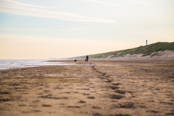 Foto van Chalet in Noordwijk bij het Strand - Vakantiehuis in Noordwijk aan zee - AreaSummer5KM
