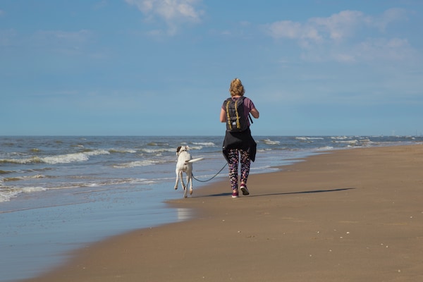 Foto van Chalet in Noordwijk bij het Strand - Vakantiehuis in Noordwijk aan zee - AreaSummer5KM