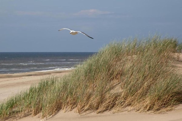 Foto van Chalet in Noordwijk bij het Strand - Vakantiehuis in Noordwijk aan zee - AreaSummer20KM