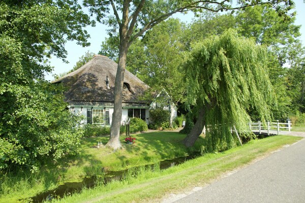 Foto van Huisdiervriendelijk appartement, Sint Maartensbrug - ExteriorSummer