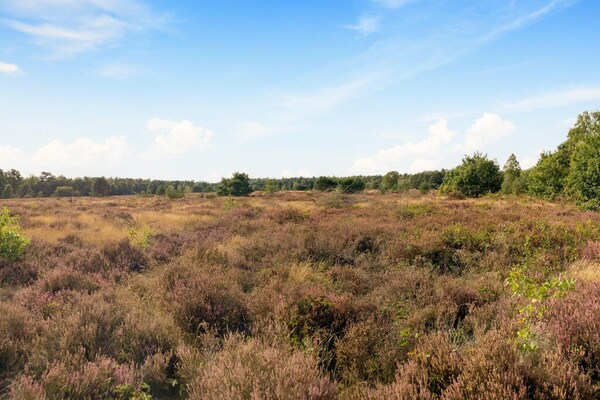 Foto van Chalet in Veluwe met Rust en Ruimte - Vakantiehuis in Voorthuizen - AreaSummer20KM