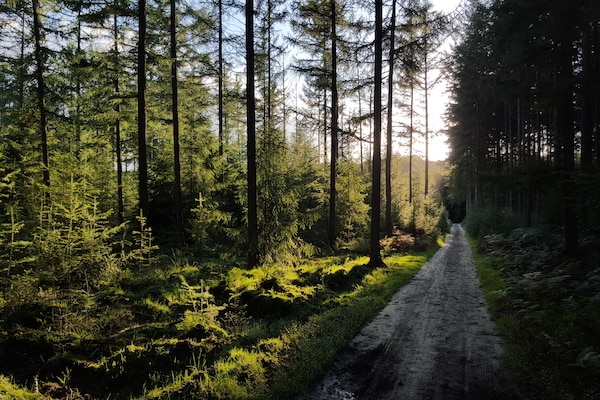 Foto van Bungalow in Nederland met Groepsruimte - Vakantiehuis in Voorthuizen - AreaSummer1KM