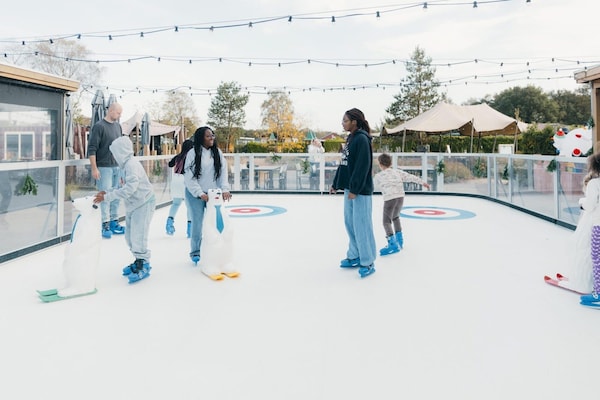 Foto van Charmante tuinvakantie - Vakantiehuis in Voorthuizen - ParkFacilities